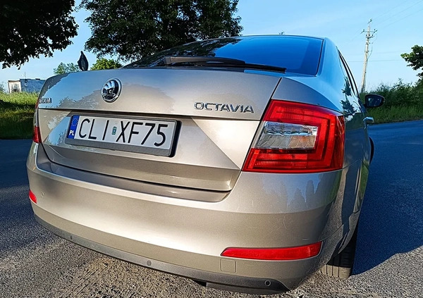 Skoda Octavia cena 35900 przebieg: 253000, rok produkcji 2016 z Lipno małe 781